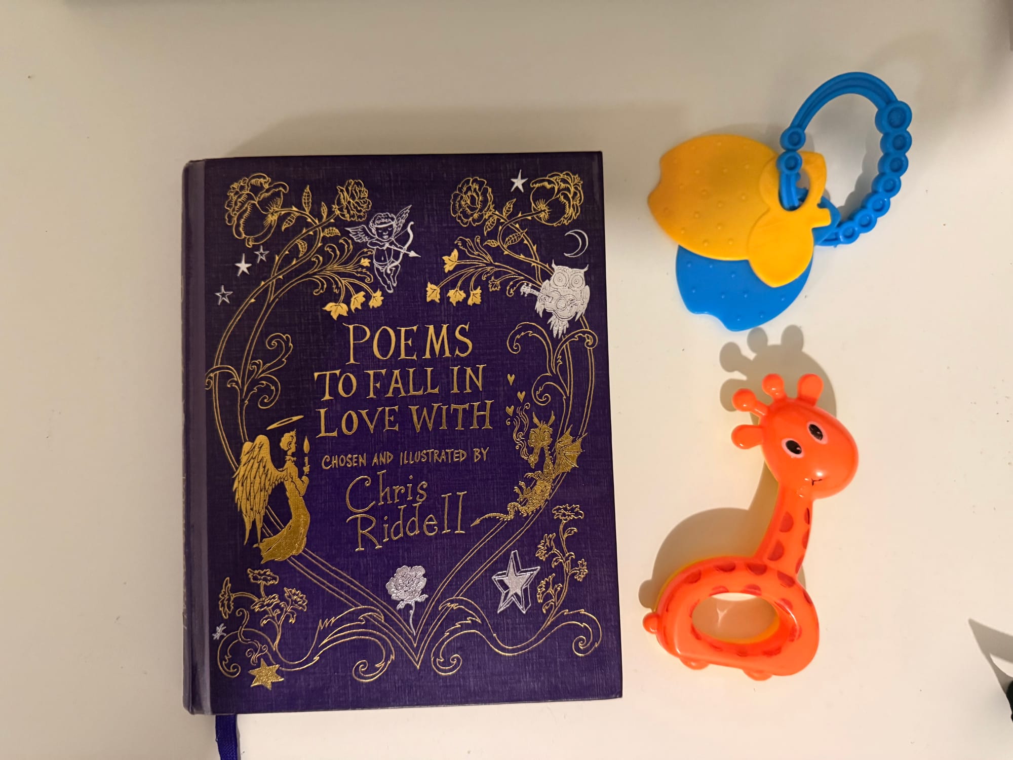 Riddell, Chris - Poems to Fall in Love with