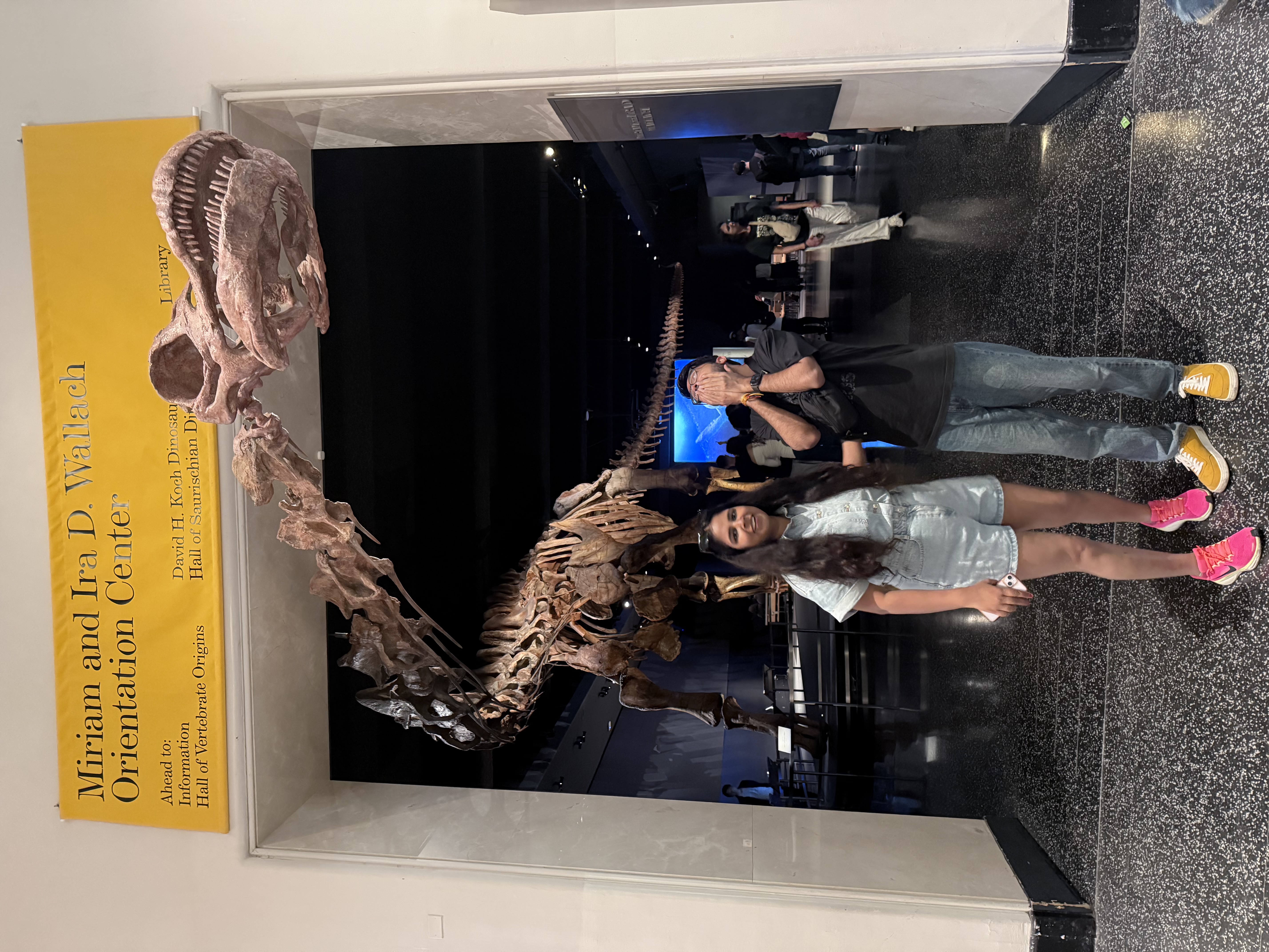 Massive dino