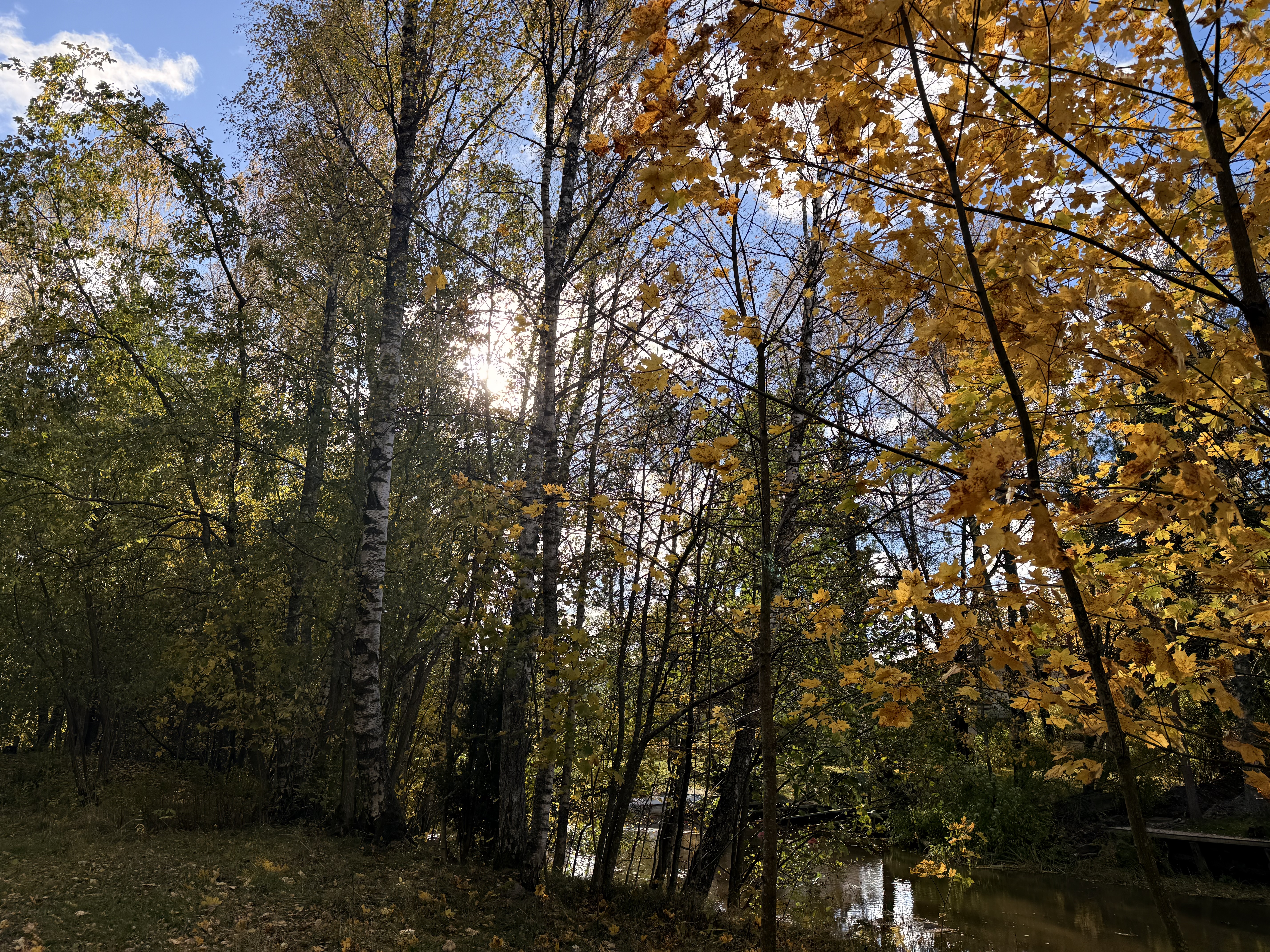 A walk