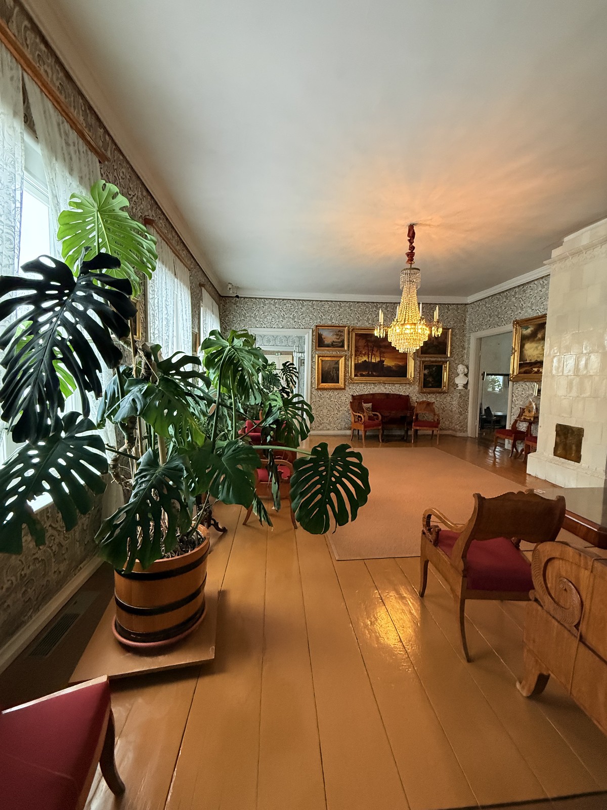 The plants in the hall