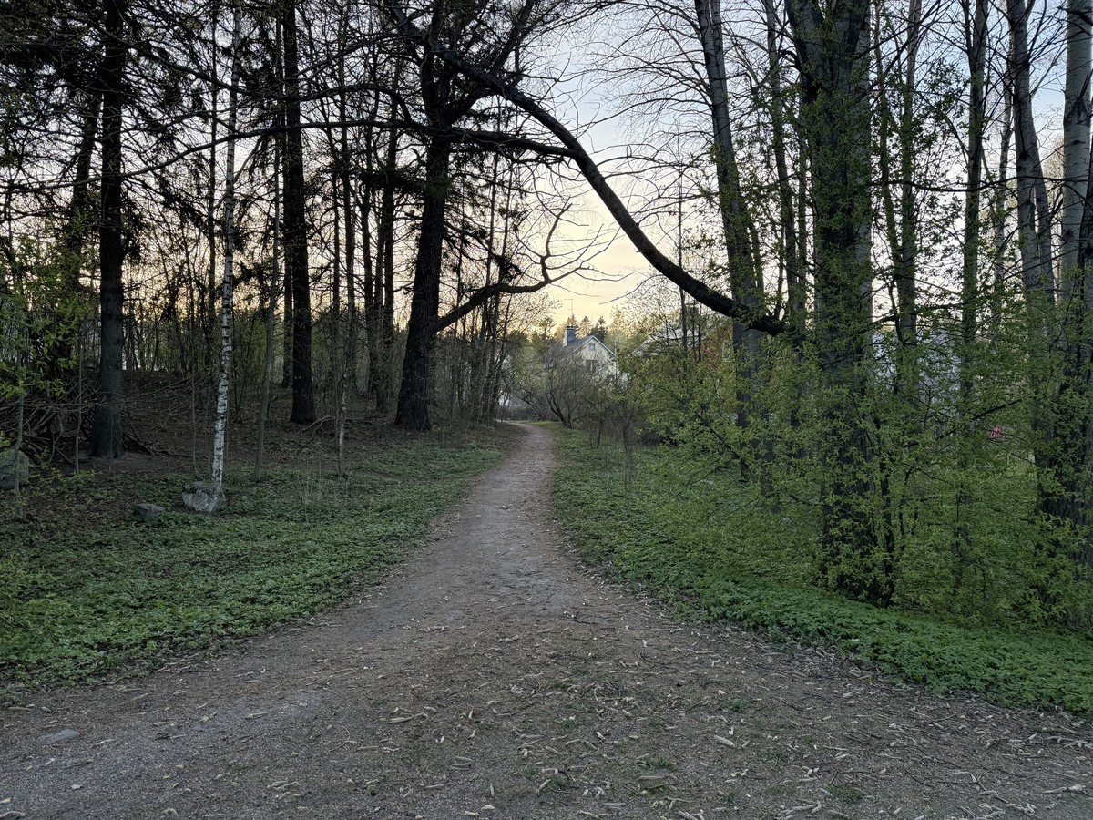 Spring