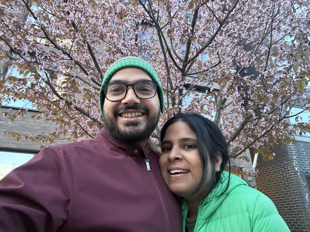 Cherry trees