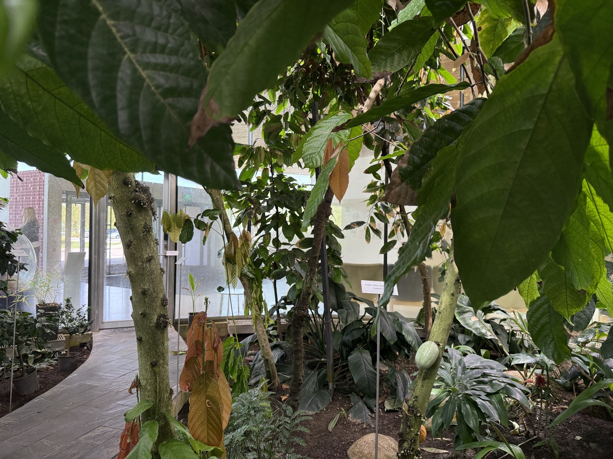 At the greenhouse
