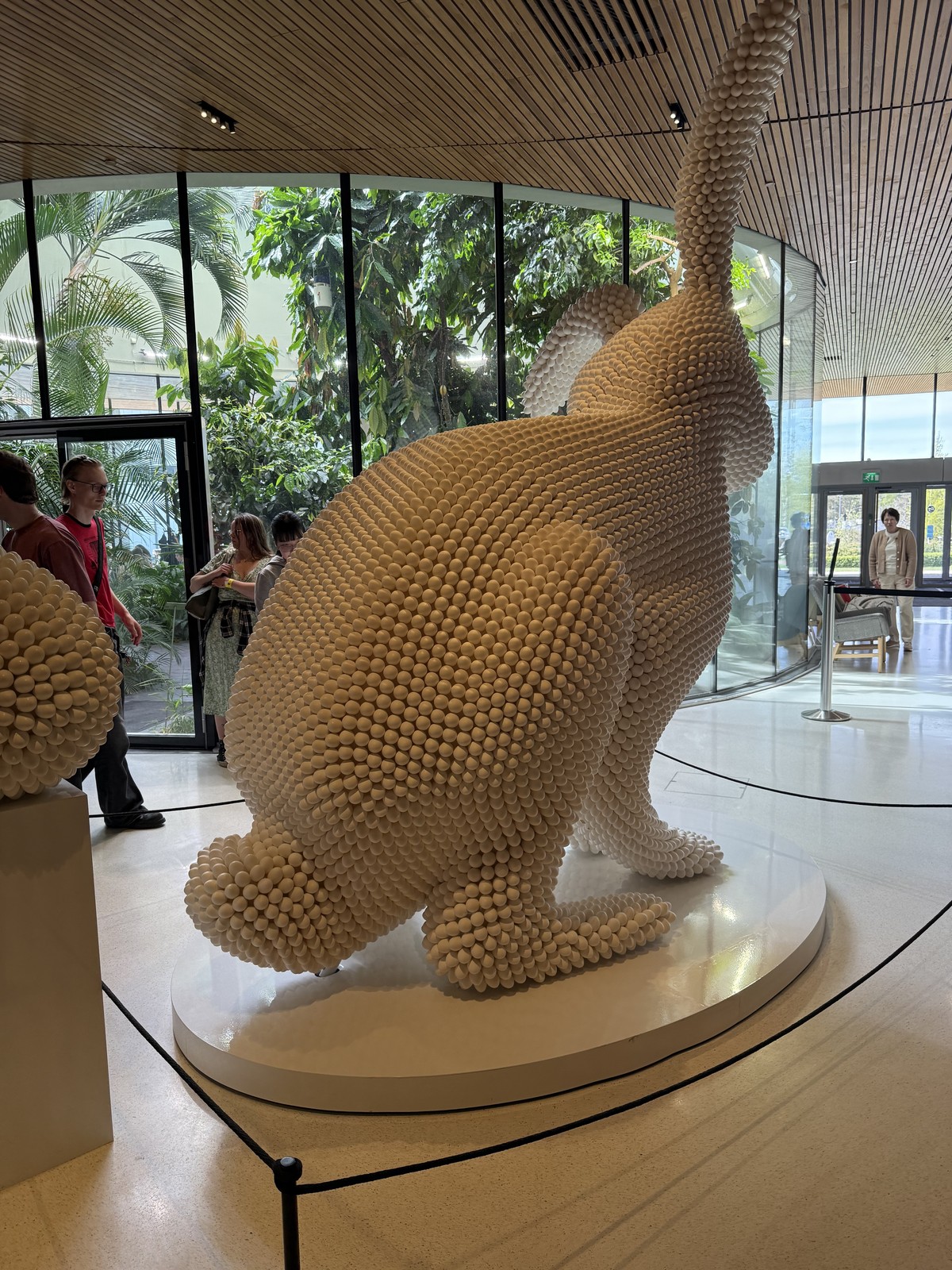 The bunny