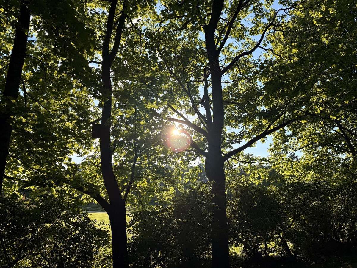Vacations and Noticing Things