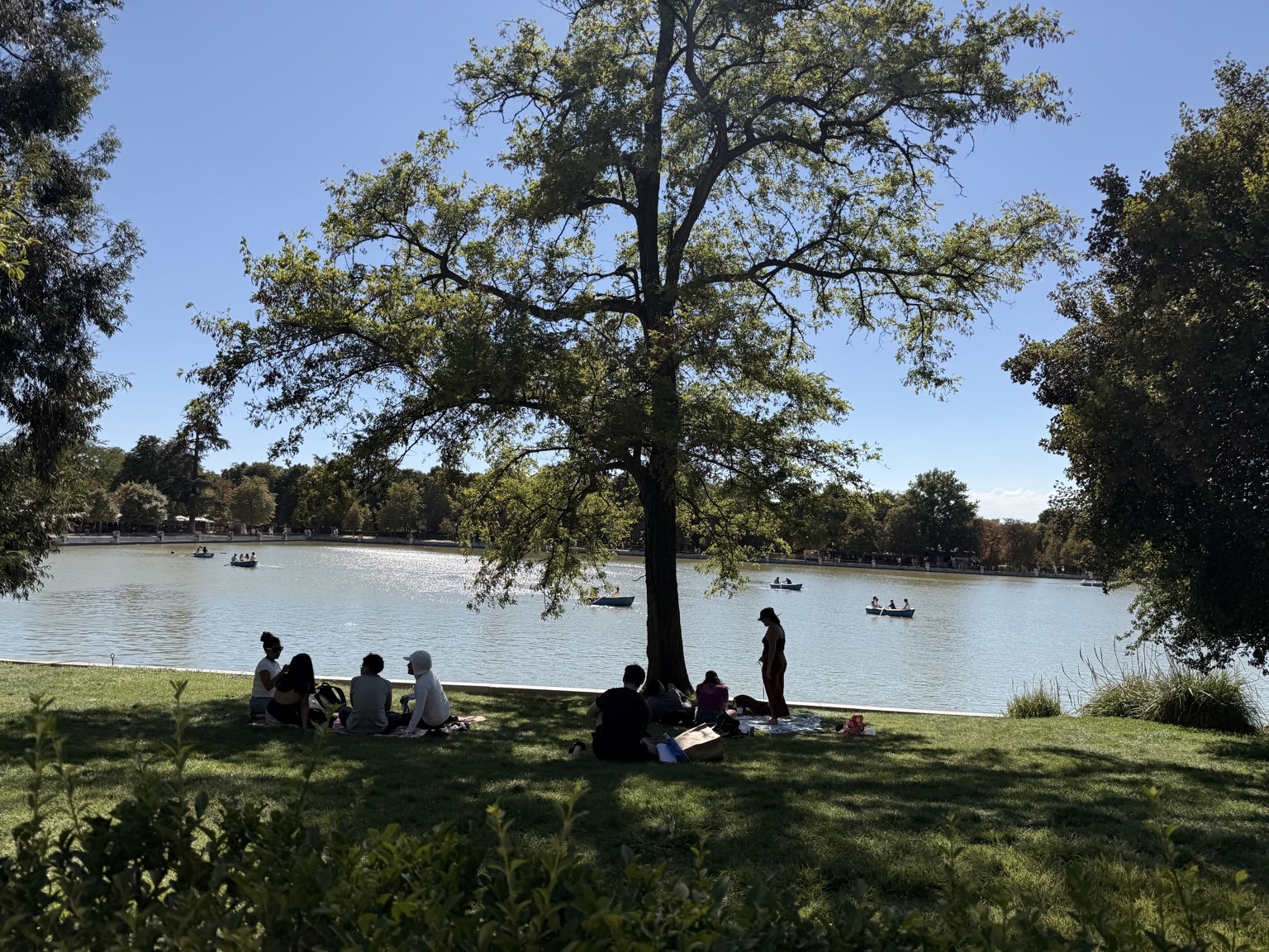 People doing people things in the park